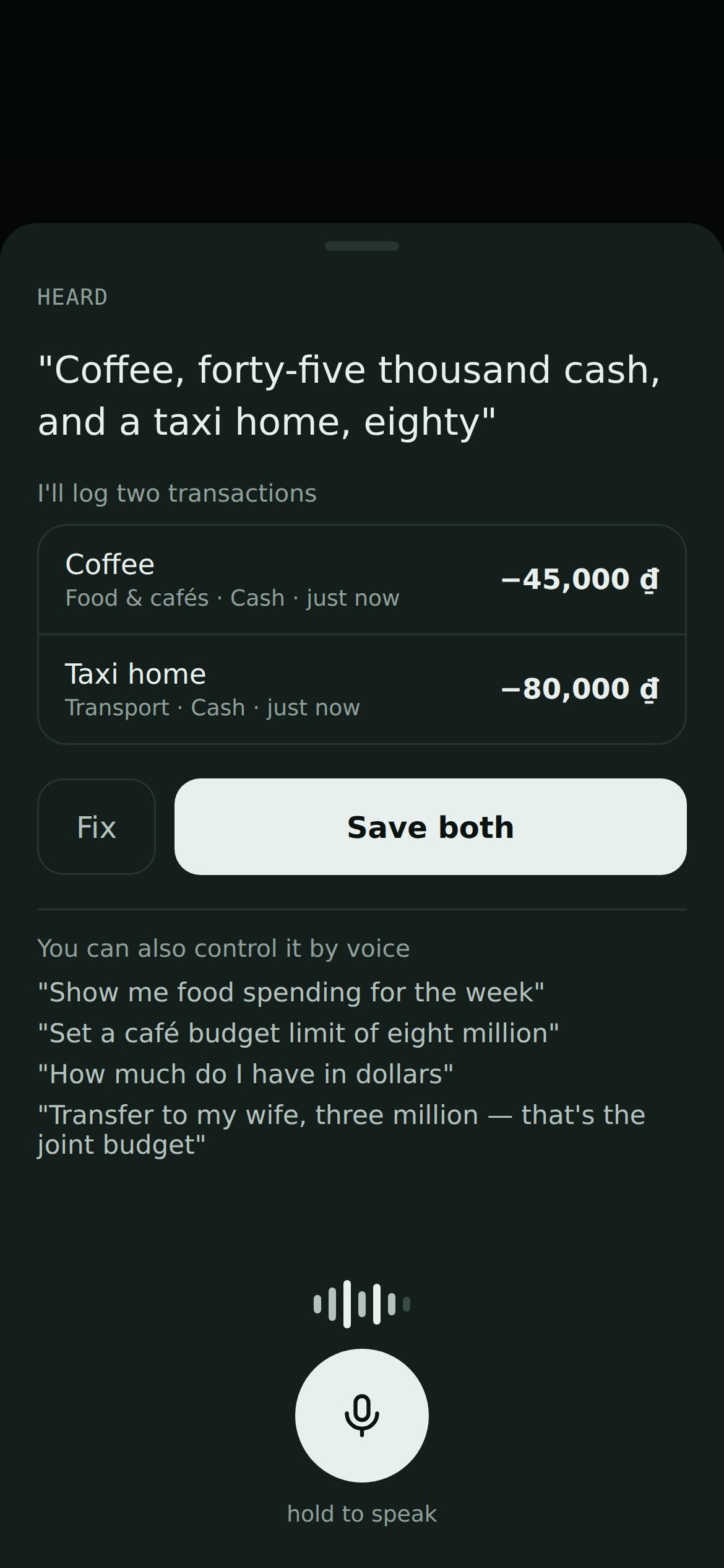 Pocket CFO — logging an expense by voice