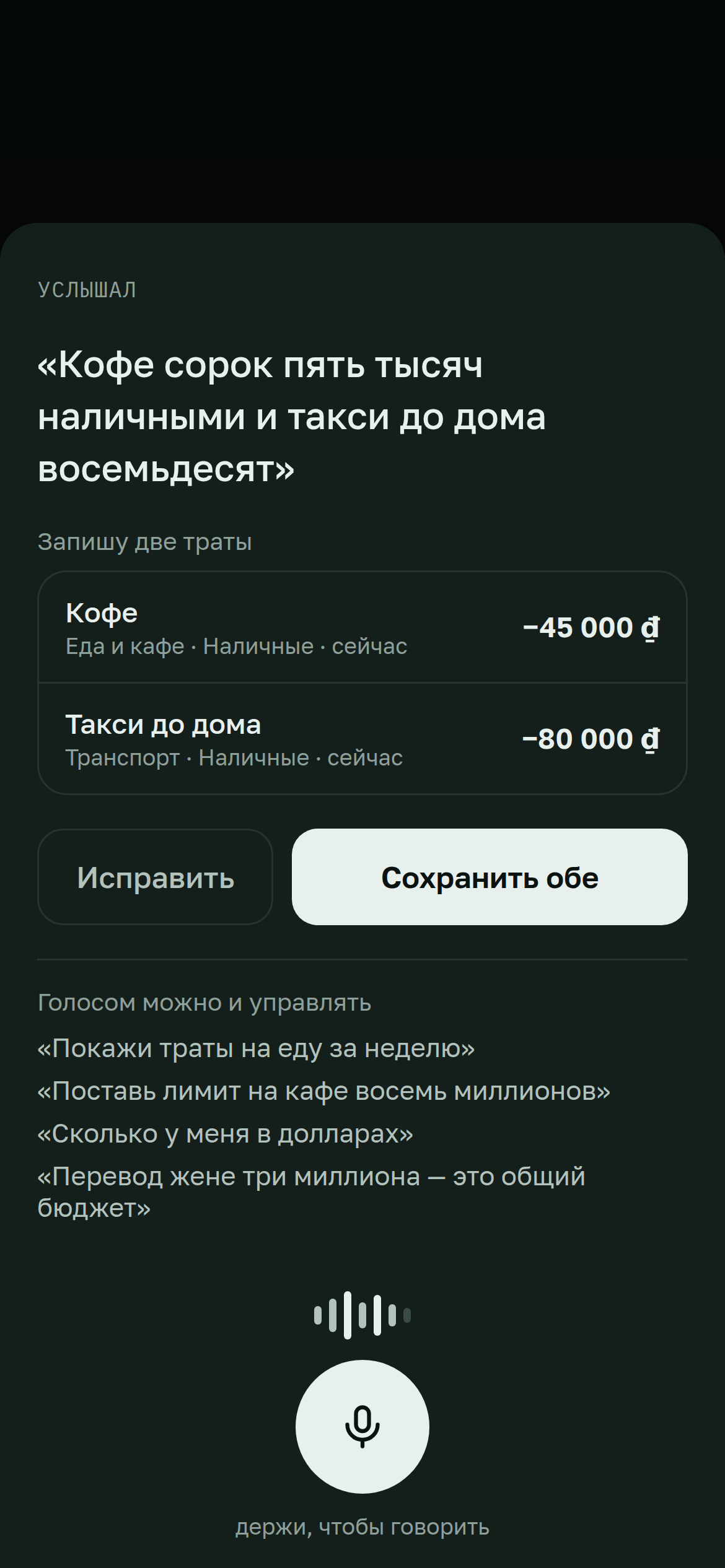 Pocket CFO — внесение траты голосом
